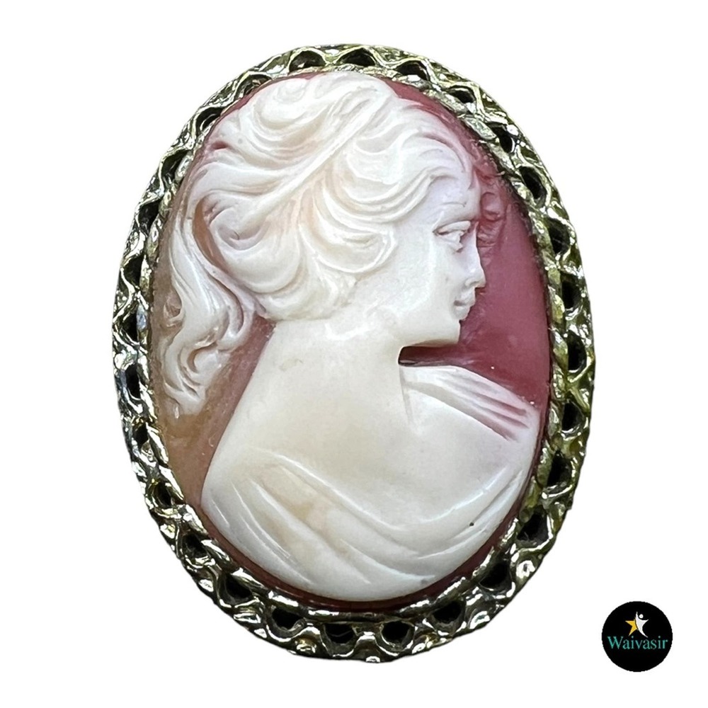 Vintage Cameo Victorian Style Brooch Pin